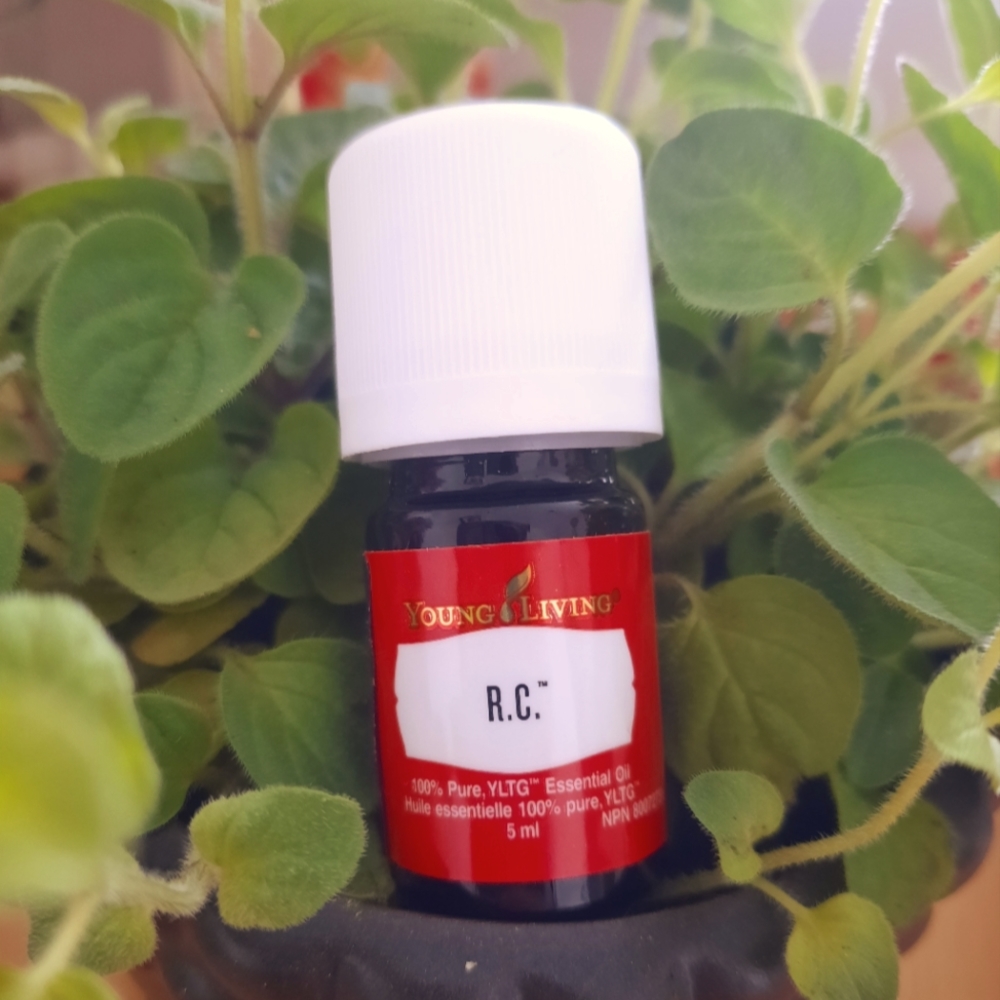COPY - R.C. YOUNG LIVING 5ml, essential oils, SPA, WELLNES, AROMATHERAPY